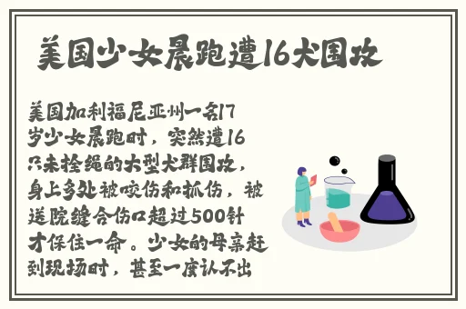 茄子视频看的片WWW免费