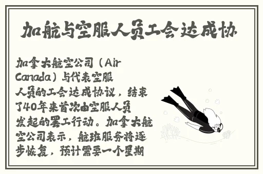csgo高清视频免费播放软件